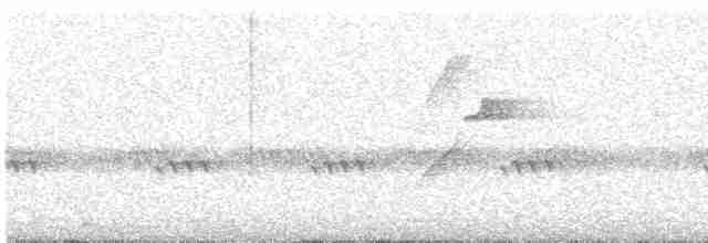 Batı Amerika Sinekkapanı (occidentalis/hellmayri) - ML459662941