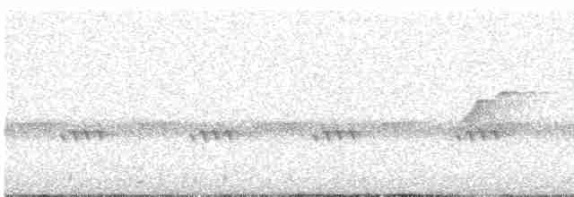 Batı Amerika Sinekkapanı (occidentalis/hellmayri) - ML459663011