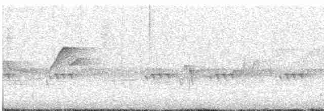 Batı Amerika Sinekkapanı (occidentalis/hellmayri) - ML459663231