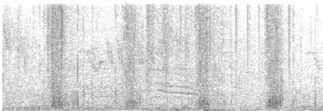 Cerulean Warbler - ML459668201