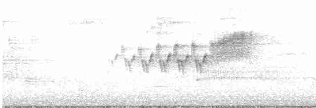 Cerulean Warbler - ML459793661