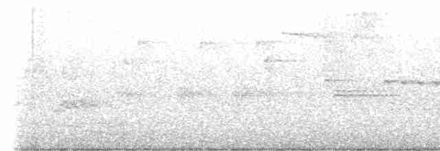 Cerulean Warbler - ML459797831