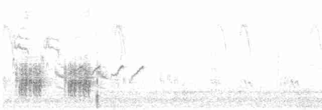 Great Reed Warbler - ML459910001