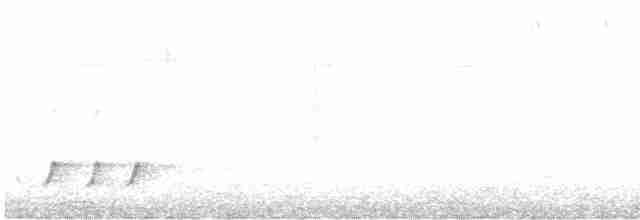 Streifenpanthervogel [melanocephalus-Gruppe] - ML459923391