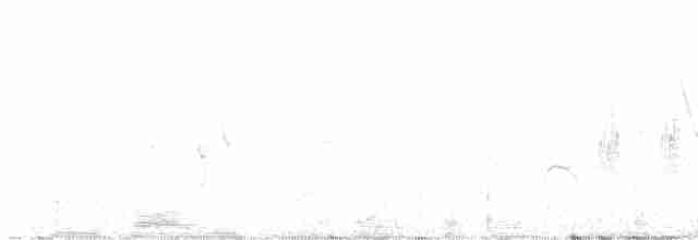 Kuzeyli Sert Kanatlı Kırlangıç - ML459993831