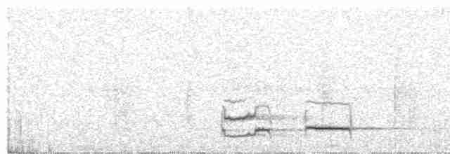 Тиран-інка буроголовий - ML460007221