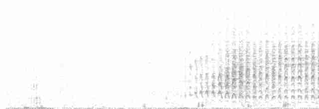 Ockerstirn-Blattspäher - ML460008181