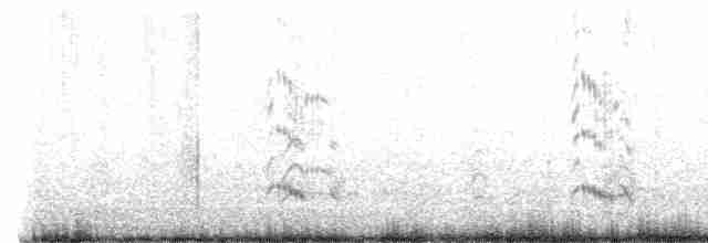 Royal Tern - ML460015251