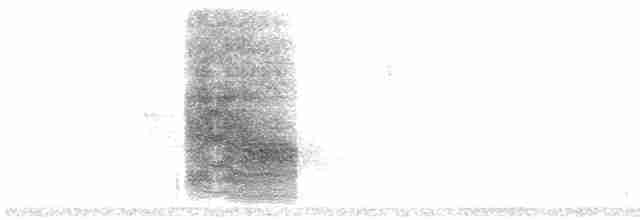 Steller Kargası - ML460101211