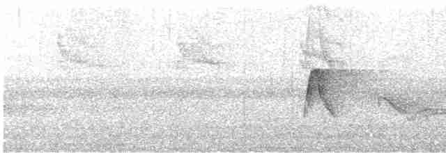 Acadian Flycatcher - ML460103271