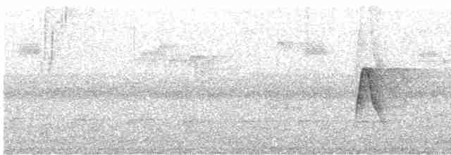 Acadian Flycatcher - ML460103291