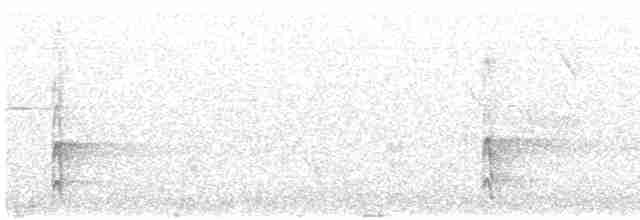 アカゲラ（亜種 japonicus） - ML460115171