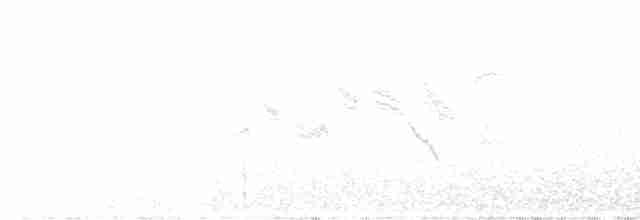 Hermit Warbler - ML460118081