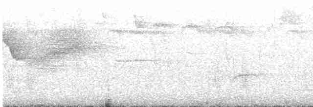 Вівсянка сиза - ML460119321