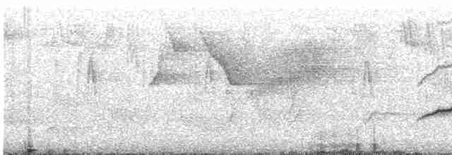 Вівсянка сиза - ML460119421