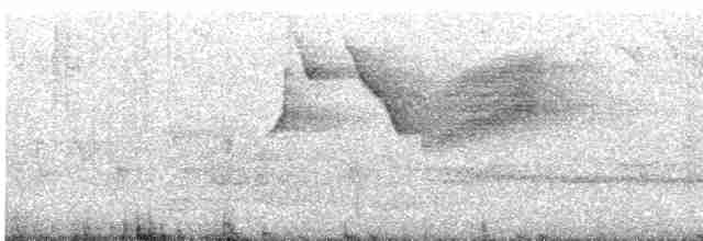 Вівсянка сиза - ML460119471