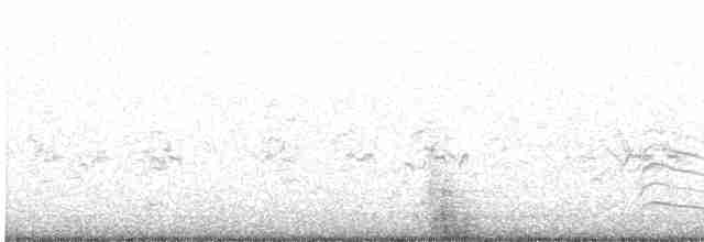 Чернохвостая чайка - ML460120641