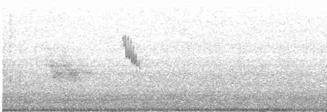 Eastern Black-eared Wheatear - ML460124611