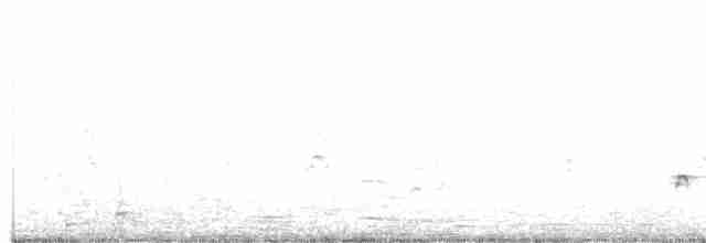 husice bělohlavá - ML460155471