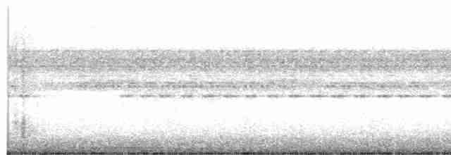 holub šedočelý - ML460202871