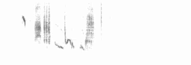 Трав’янка лучна - ML460212791