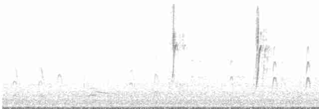 Щеврик антарктичний - ML460250371