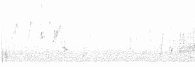 Щеврик антарктичний - ML460253171