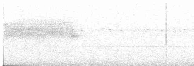 Ockerbürzel-Ameisenfänger - ML460256331