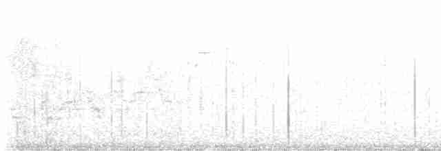 Пересмішник сірий - ML460294031