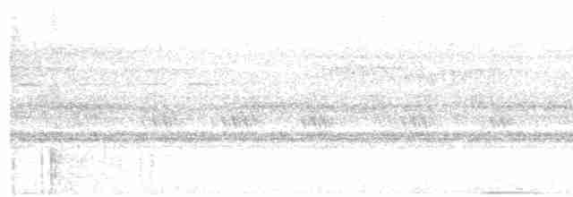 Great Eared-Nightjar - ML46032441