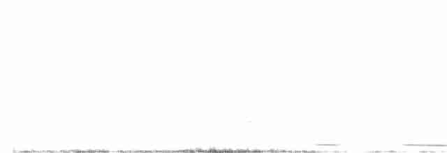 White-tipped Dove (White-tipped) - ML460326221