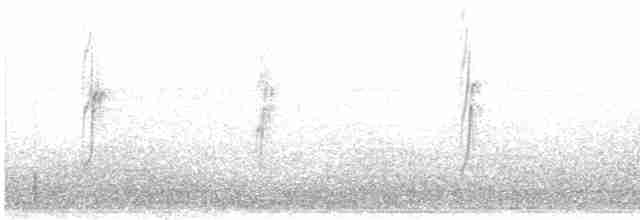 Pipit antarctique - ML460402951