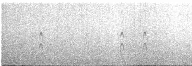 Antarctic Tern - ML460404221