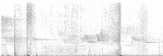 Cerulean Warbler - ML460424151