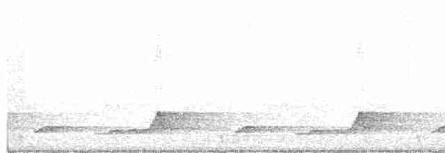 Schwarzkehl-Nachtschwalbe - ML460434781