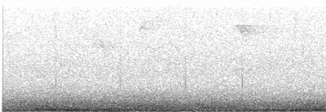 Paruline vermivore - ML460461241