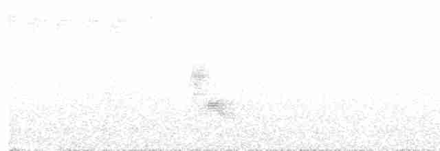 Bicknell Bülbül Ardıcı - ML460518011