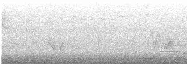 銀鷗 - ML460526251