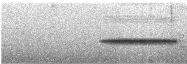 Turuncu Ardıç - ML460527161