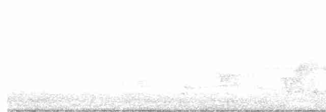 Cerulean Warbler - ML460535531
