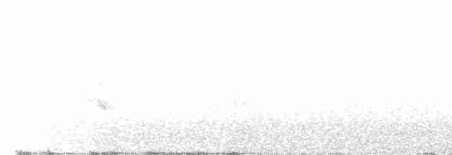 Дрізд-короткодзьоб канадський - ML460550701