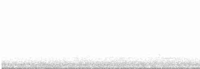 Australasian Grebe - ML460671181