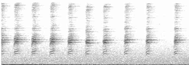 Méliphage carillonneur - ML460673501