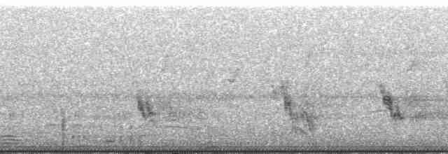 Aigle huppard - ML46068