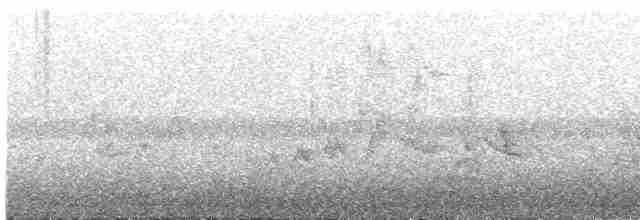 Oriole des vergers - ML460705341