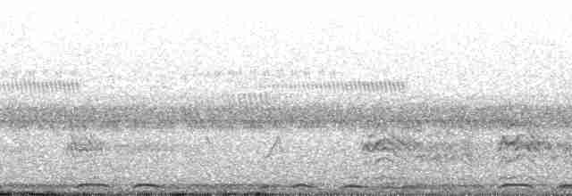 orel chocholatý - ML46073