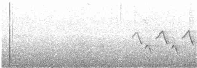 Поплітник каролінський - ML46080721