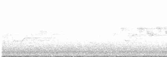 Black-throated Gray Warbler - ML460836601