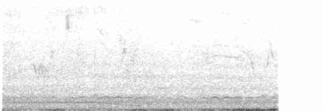 Гагара полярна - ML460855731