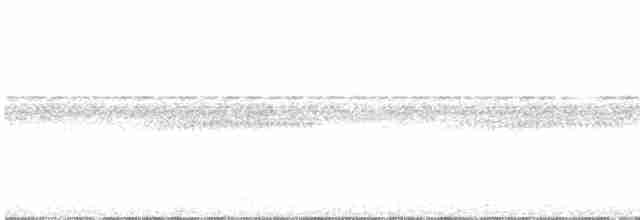 Black-tailed Trogon - ML460867321